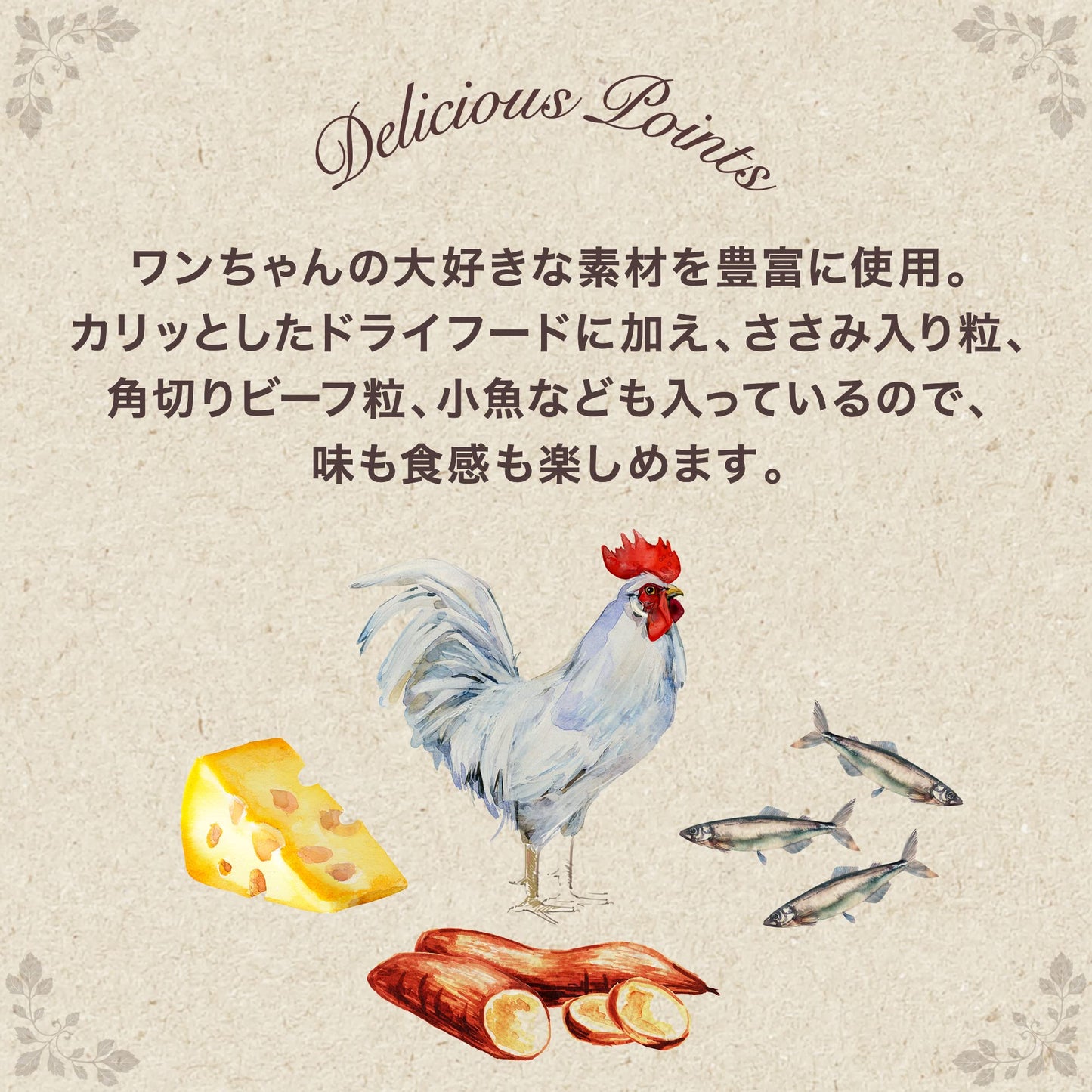 グラン・デリカリカリ仕立て 成犬用低脂肪味わいビーフ入りセレクト ~脂肪分約25%カット~ジャンボパック2.7kg